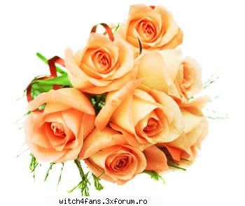 La multi ani - happy britday fetelor - Horoscop W.i.t.c.h.